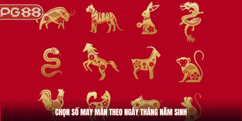 Chọn số may mắn theo ngày tháng năm sinh